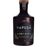 Hapusa