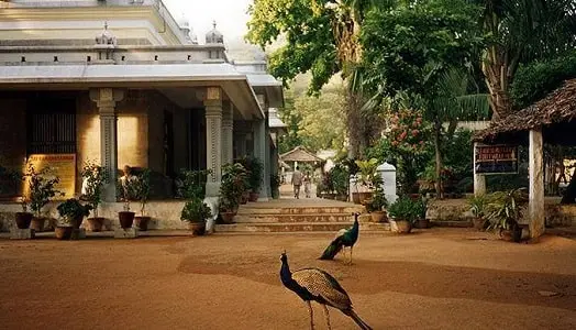 Ramana Maharshi Ashram