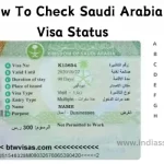 How-To-Check-Saudi-Arabia-Visa-Status-By-Visa-Number