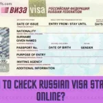 How-to-Check-Russian-Visa-Status-Online