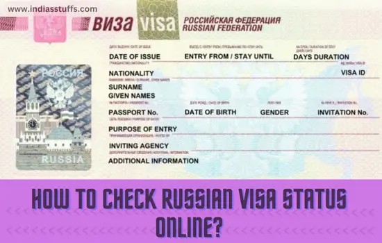 How-to-Check-Russian-Visa-Status-Online