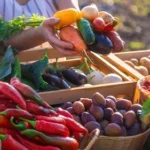 Vegetable Producing