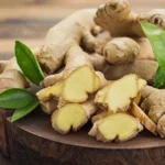 Ginger Producing
