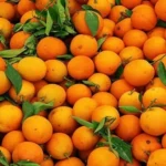 Orange Producing