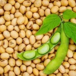 Soybean Producing