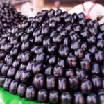 Black Plum or Jamun