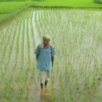 Uttar Pradesh
