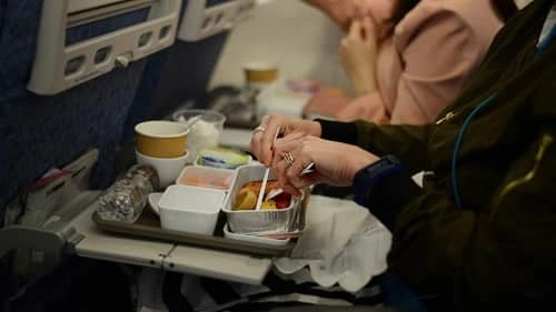 Home Food Allowed in Domestic Flights