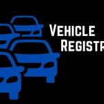 New Vehicle Registration Status