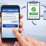 How to Check PUC Online